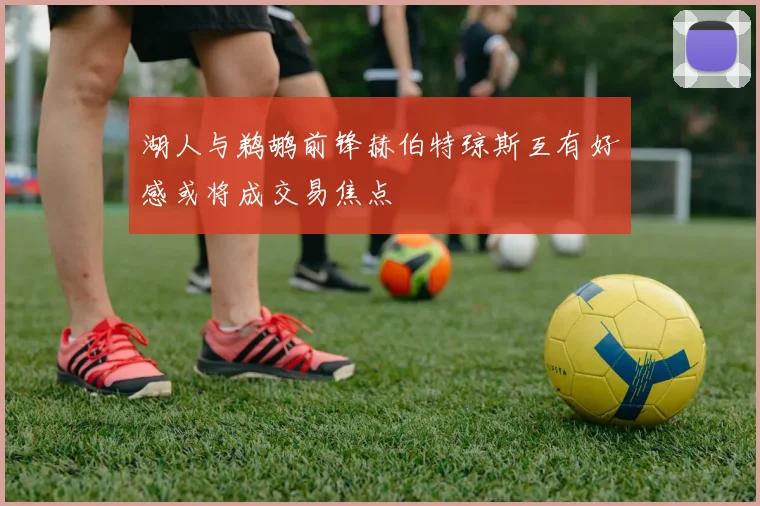 湖人与鹈鹕前锋赫伯特琼斯互有好感或将成交易焦点