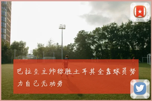 巴拉圭主帅称胜土耳其全靠球员努力自己无功劳